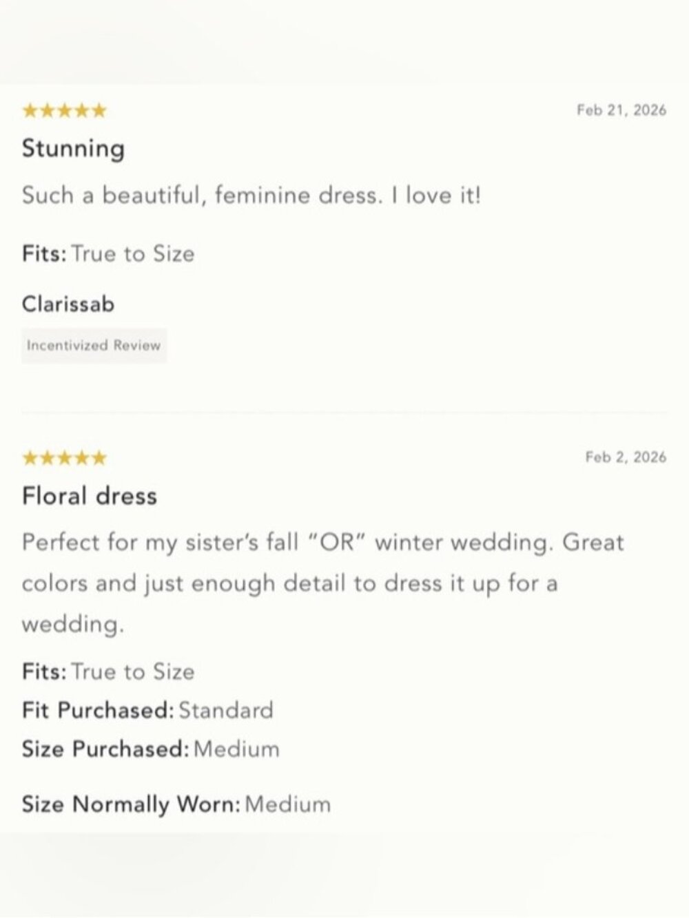 NWT Size XS - Anthropologie Black Floral Fruit Lace/Mesh Dress (NWT US$ 178) - Picture 4 of 16